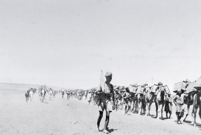 A camel supply train in Mesopotamia during World War One, from an album compiled by Lt. Kindom by English Photographer
